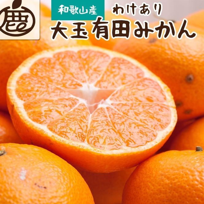 家庭用 大玉 有田みかん10kg+250g（傷み補償分） 	CZ076