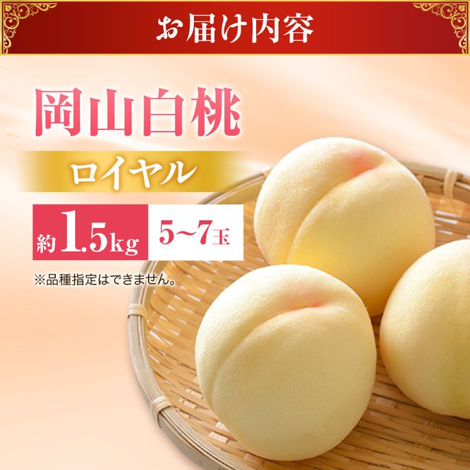 【2026年先行受付】 白桃 特秀 ロイヤル 中玉 約1.5kg(5～7玉)岡山県産 桃 もも モモ 御中元 ギフト 御礼 プレゼント 御礼 御祝 御供 果物 くだもの フルーツ