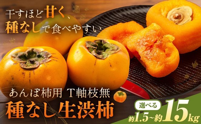 �y�a�̎R���������z�y2026�N��s�\��z�` ���� ����ۊ`�p T���}�� ��Ȃ� ���a�` �I�ׂ� 1.5~2kg 4.5~5kg 14.5~15kg �ӂ邳�Ɣ_���s10�����{-11����{����蔭���\��(�y���j����)�t �a�̎R�� ������ ���蕨 �M�t�g---wsh_fsn15_10c11j_25_11000_612---