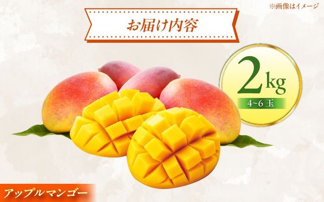 贈答用】仲村農園の完熟アップルマンゴー2kg マンゴー 沖縄 果物
