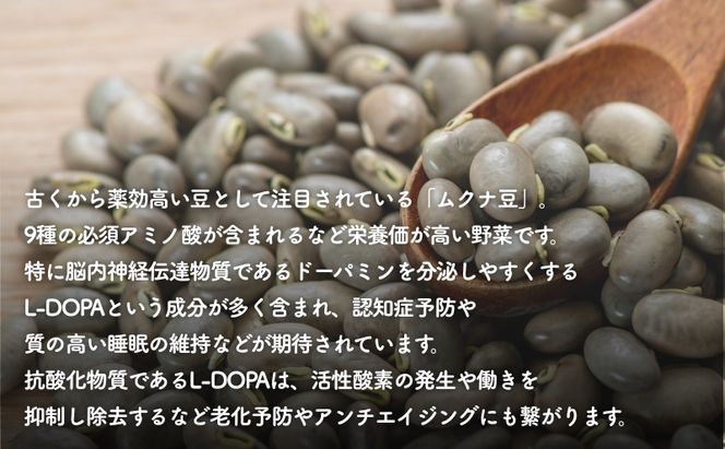 野生の目覚め～焙煎ムクナ豆茶ティーバッグ～　ムクナ お茶 健康茶