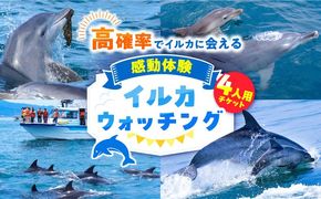 南島原 イルカウォッチング 4人用チケット / イルカ 観光 南島原市 / 南島原イルカウォッチング[SAE002]