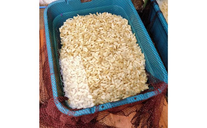 【鳥取県産】毎日の食卓に 洗いらっきょう 2kg 313726_BW025