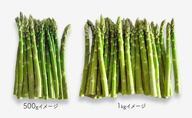 十勝幕別町産 グリーンアスパラ2kg 極太L～3L混合［山田敏明牧場］【2026年5月出荷開始】  北海道 野菜 アスパラガス