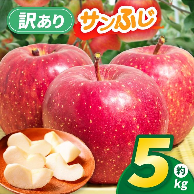 りんご 先行予約 伊那市田原産 リンゴ サンふじ 訳あり 約5kg 2026年11月中旬～発送｜りんご サンふじ 甘い 訳あり品 美味しい フルーツ 田原 伊那 伊那産 長野県 ふるさと納税【011-a3】