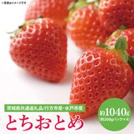 【茨城県共通返礼品/ 行方市産・水戸市産】【2027年1月中旬より順次発送】いちご 「とちおとめ」 約260gパック×4【イチゴ 苺 フルーツ 果物 甘い 大粒】(CS102)