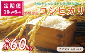 新米 令和6年産 定期便 10kg × 6回 コシヒカリ 合計 60kg お米 白米 こしひかり 米 こめ 精米 産地直送 国産 農家直送 期間限定 数量限定 特産品 令和6年度産 2024年産 大粒 もっちり 粘り 甘み おいしい おにぎり 人気 内祝い お祝い 贈答品 お返し プレゼント 土産 御礼 お礼 お取り寄せ 愛南町 愛媛県 ささなピクルス