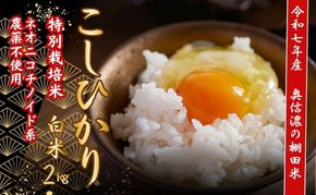 【令和7年産】特別栽培米 『奥信濃の棚田米 実の里』 こしひかり 精米 2㎏ (7-18A) 