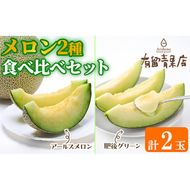 【0203611a】自慢の農家×老舗青果店 メロン食べ比べセット(計2玉) メロン めろん アールスメロン 肥後グリーン 果物 くだもの フルーツ 果実 セット 詰め合わせ 旬 【有留青果】