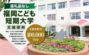 【 返礼品なし 】 「 福岡こども短期大学 」 支援寄附金 （ 100,000円分 ） 寄附のみ 応援寄附金 社会貢献 支援活動 教育 支援 寄附 応援