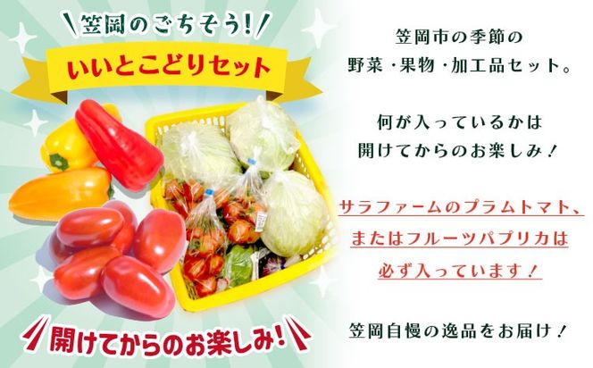 サラファームの品とふるさとフレッシュ便 旬野菜セット 野菜 果物 プラムトマト パプリカ 《30日以内に出荷予定(土日祝を除く)》 笠岡アグリセンター 野菜 岡山県 笠岡市---H-60---