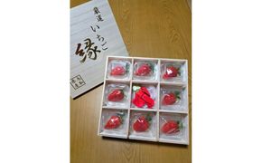 【先行予約】厳選いちご（やよいひめ）8粒と創作和紙人形セット【2027年2月発送】 313726_CX001
