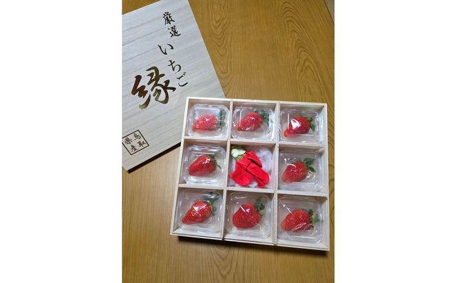 【先行予約】厳選いちご（やよいひめ）8粒と創作和紙人形セット【2027年2月発送】 313726_CX001