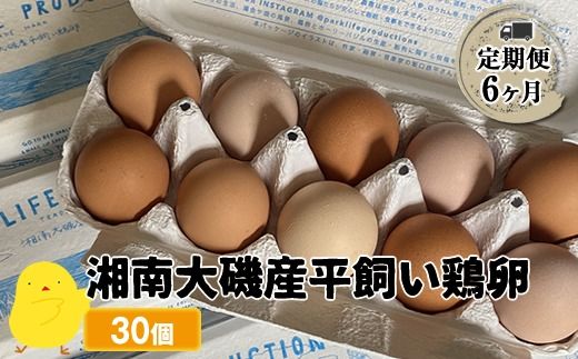 159-2043-03 [定期便6ヶ月] 湘南大磯産平飼い鶏卵 30個[2024年12月1日出荷開始 6ヶ月連続でお届け][ たまご 神奈川県 大磯町 ]