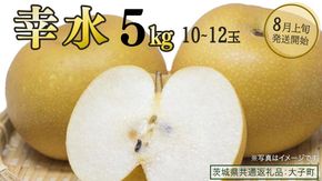 幸水 約5kg (10～12玉)【2026年8月上旬発送開始】(茨城県共通返礼品：大子町) 梨 なし 果物 くだもの フルーツ