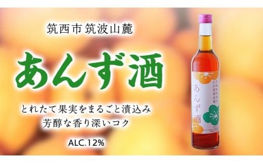 あんず酒 アルコール 12％（ 500ml × 1本 ） 果実酒 お酒 酒 あんず [DP003ci]