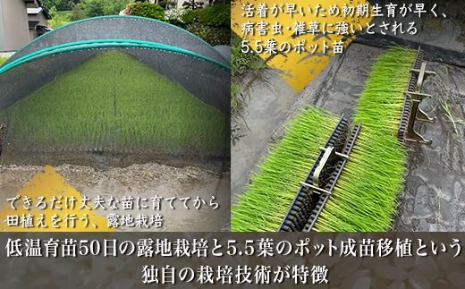【令和7年度産米】尾谷農園 自然栽培米コシヒカリ 玄米5kg ※北海道・沖縄・離島への配送不可