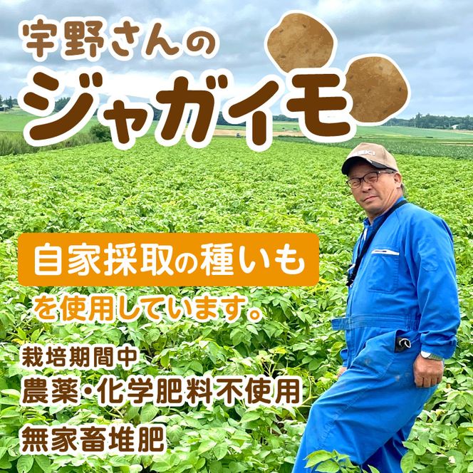 【予約：2026年2月上旬から順次発送】【選べる3サイズ】宇野さんの手拾い、手選別の越冬ジャガイモ 10kg ( 芋 野菜 選べる )【167-0004-2026】
