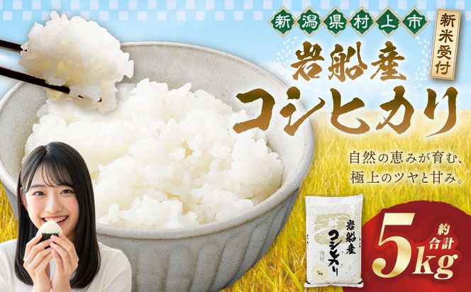 【新米受付・令和8年産米】新潟県村上市岩船産　岩船産コシヒカリ5kg　1102001N