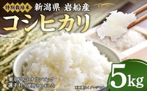 【令和7年産米】特別栽培米 新潟県村上市岩船産 コシヒカリ 5kg 1029003