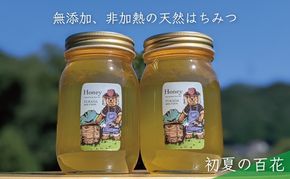 合計1200g 天然蜂蜜 国産蜂蜜 非加熱 生はちみつ 岐阜県 美濃市産 初夏 (蜂蜜600g入りガラス瓶2本セット)B6 深田養蜂のハチミツ
