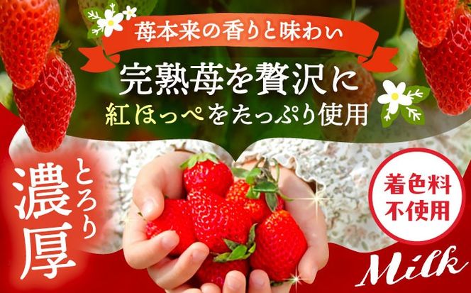 いちごミルクの素 3本セット 果物 フルーツ 紅ほっぺ 愛西市 / くぼ苺農園 【配達不可：離島】[AECJ024]