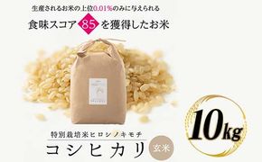 令和8年度　新米 特別栽培米 コシヒカリ ヒロシノキモチ 玄米 10kg ブランド米 銘柄米 国産 米 お米 日本米 ギフト 贈り物 備蓄 防災 食品 陽咲玲 はるざれ F6T-1030