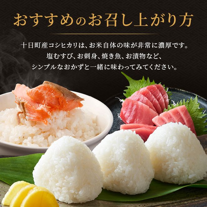 【3か月定期便】魚沼産コシヒカリ10kg(5kg×2)