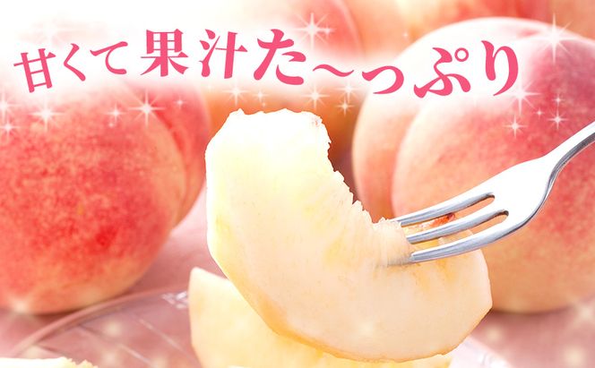 【 2027年 先行予約】 桃 岡山県産 あかつき 約1.2kg(4～5玉) 《2027年7月上旬-中旬頃出荷》 白桃 岡山 はくとう スイーツ フルーツ 果物 先行予約 数量限定 期間限定 岡山 里庄町 モモ もも 桃