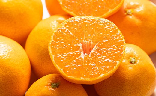 みかん 約5kg 訳あり 山北 ご家庭用 （約40～60個） 山北みらい - 果物 フルーツ 柑橘類 温州みかん ミカン 蜜柑 訳アリ わけあり 生産者応援 甘い おいしい 高知県 香南市 yk-0058