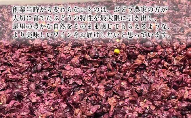 是里 ワイン TSUCHINARO ROSE 3本 セット ワイン ぶどう 葡萄 お酒 果実酒 洋酒 岡山 赤磐市 