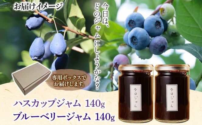 【ふるさと納税】ジャム2種セットA 各1個 ハスカップ ジャム ブルーベリージャム  今日ジャム 北海道産 自家製 パン ヨーグルト 朝食 濃厚 甘い デザート スイーツ おやつ グルメ ご褒美 贅沢 ギフト 送料無料 北海道 滝川市