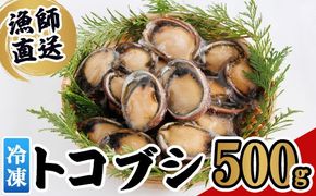 冷凍 トコブシ (500g) 貝 魚介類 海鮮 おつまみ 惣菜 【KF01】【カズフジ】
