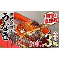 【0154316a】【緊急支援品】＜訳あり・数量限定＞鰻の蒲焼き(無頭)(3尾・計約400g・タレ、山椒付) うなぎ ウナギ 鰻 国産 蒲焼 蒲焼き たれ 鹿児島 ふるさと 人気 支援【アクアおおすみ】