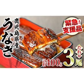 【0154316a】【緊急支援品】＜訳あり・数量限定＞鰻の蒲焼き(無頭)(3尾・計約400g・タレ、山椒付) うなぎ ウナギ 鰻 国産 蒲焼 蒲焼き たれ 鹿児島 ふるさと 人気 支援【アクアおおすみ】