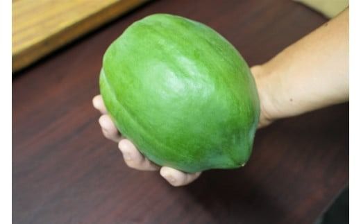 【期間限定】栄養の宝庫 青パパイヤ 約3kg スーパーフード 酵素 美容 健康 エックスファーム H164-010