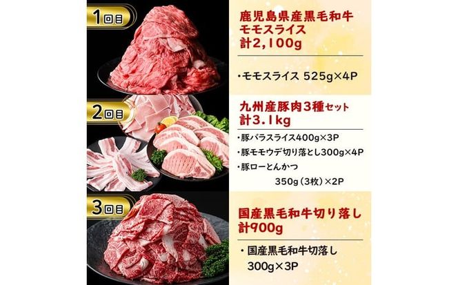 【定期便・全6回】お肉のお楽しみ定期便 総量9.9kg t0122-001