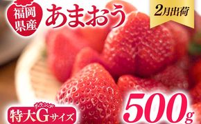 福岡県産 あまおう 500g （250g×2パック） いちご 2月中発送 いちご 苺 フルーツ 果物 くだもの 大粒Gサイズ グランデ 農家直送 大粒 不揃い 福岡県 福岡 九州 グルメ お取り寄せ