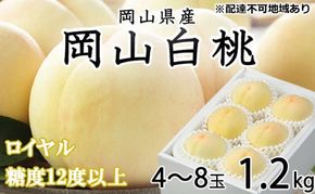 桃 2026年 先行予約 岡山 白桃 ロイヤル 4～8玉 約1.2kg JAおかやまのもも（早生種・中生種） もも モモ 岡山県産 国産 フルーツ 果物 ギフト
