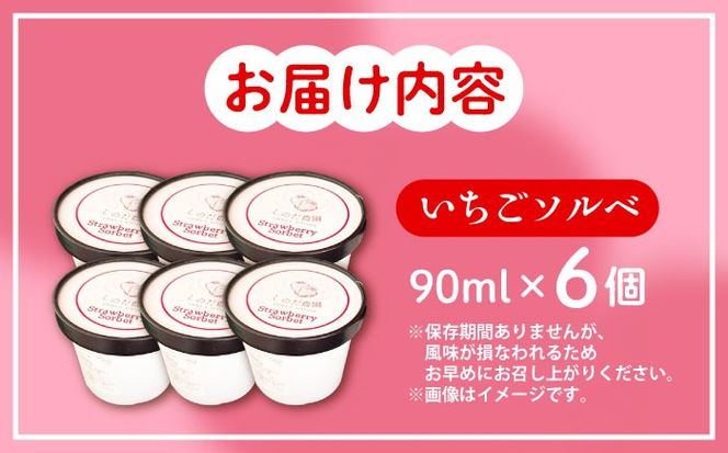 いちごソルベ いちご アイス ジェラート 愛西市 / しのだ農園-SHINODA FARM-[AECE007]