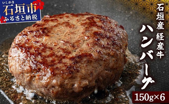 [2025年10月発送]石垣産経産牛ハンバーグ150g×6/箱 YC-08-10