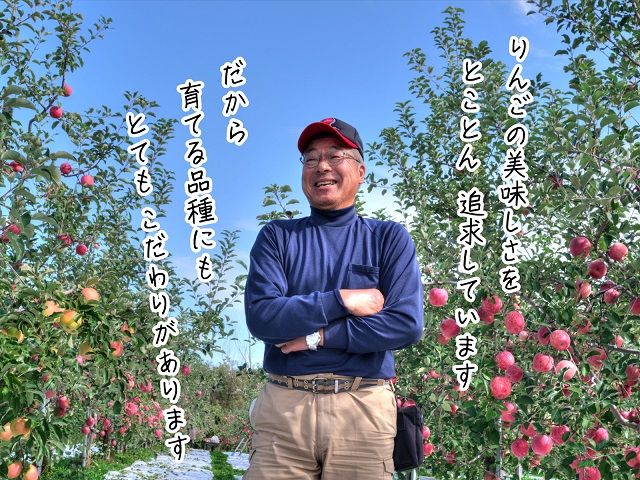 りんご 青森 おいらせ リンゴ 約 5kg (6～10玉) 青森県 鰺ヶ沢町産 ヒバリノ園 フルーツ 果物 果物類 白神山地 林檎 ※オンライン決済のみ 
