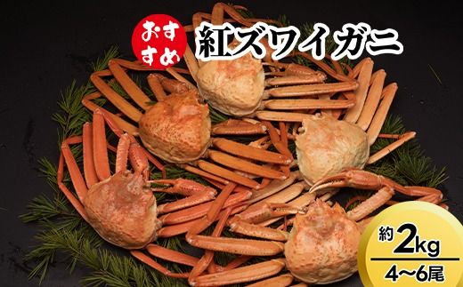 【おすすめ】紅ズワイガニ約2kg（4～6尾） ※2025年9月中旬～2026年3月下旬頃に順次発送予定