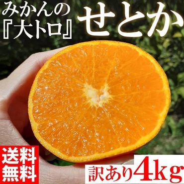 せとか みかんの大トロ 4kg 訳あり ブランド 和歌山 有田みかん 農家直送 オレンジ フルーツ 果物 CE044