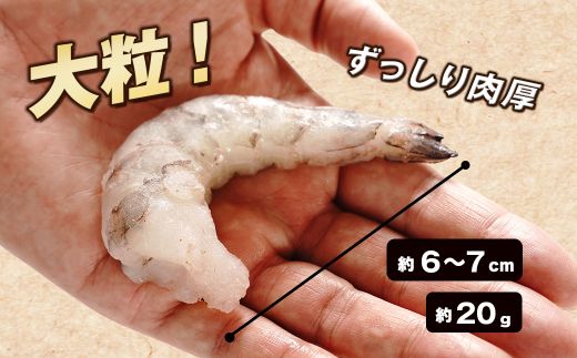 【定期便6ヶ月】至福の大粒 むきえび　背ワタ処理済 1kg　ブラックタイガー 冷凍 ムキエビ  大型 海老
