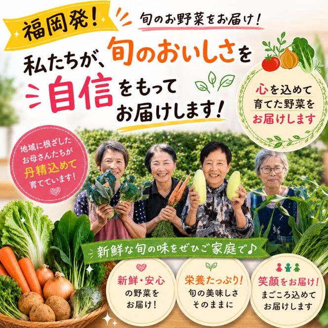 【定期便 年6回】おいしかぁ～便 詰め合わせセット 6ヶ月 お楽しみ ファミリーセット 家族用 野菜 やさい 米 新鮮 新鮮野菜 家庭用 新鮮 福岡県 大刀洗町