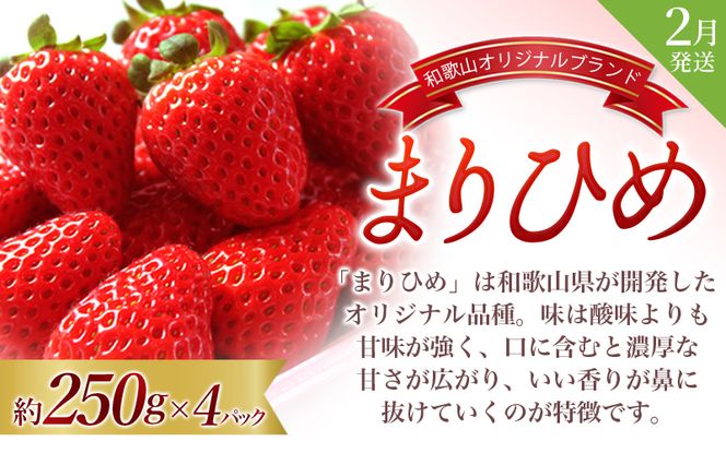 フルーツ 定期便 【全3回】＼フルーツ大国和歌山からお届け／  旬のフルーツ 定期便（いちご・桃・ピオーネ）【tkb401】