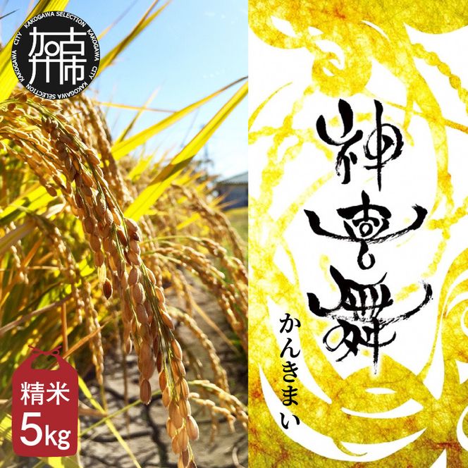 お米【神喜舞】精米 5kg [令和7年産]《 神喜米 お米 精米 5キロ 米 おこめ 国産 送料無料 ヒノヒカリ 》【2502B08402】