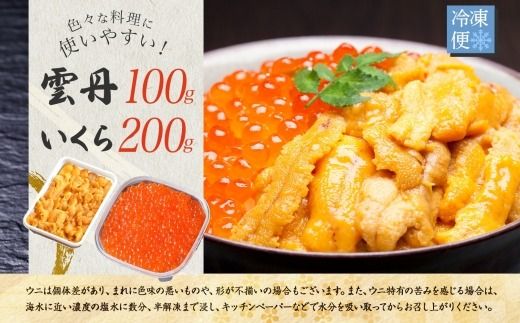 【年内配送 12月14日まで受付】3590.  うに 100g いくら醤油漬け 200g ウニ チリ産 冷凍 いくら 二色丼 雲丹 イクラ 海鮮 海鮮丼 うに丼 いくら丼 いくら醤油漬け 送料無料 北海道 弟子屈町