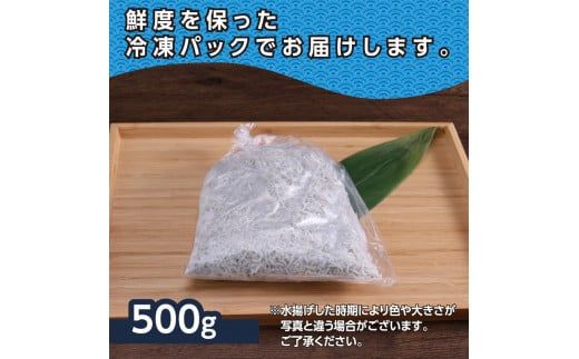 【CF-R7hbk】MMK002　上物釜揚げシラス500g 高知県産 釜揚げしらす 簡易梱包 シラス 国産 釜揚げ 新鮮 しらす丼 海鮮丼 お茶漬け 冷凍配送 塩分控えめ お取り寄せ